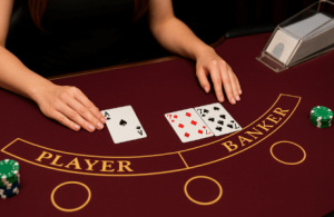 AG百家乐百家乐玩法:学习与娱乐并重